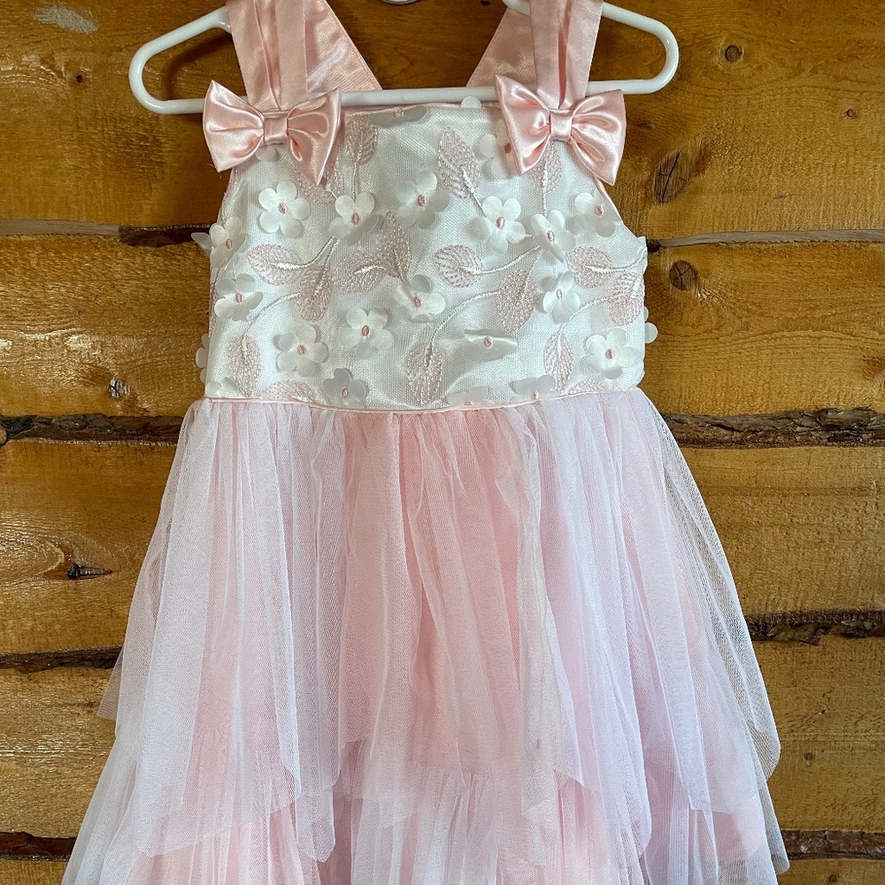 Fancy 4T girl dress